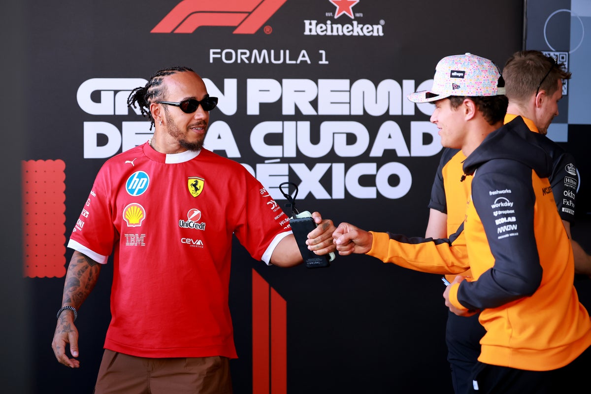 Hamilton's heartwarming message to F1 world champion Norris: 'I'm so happy for you'