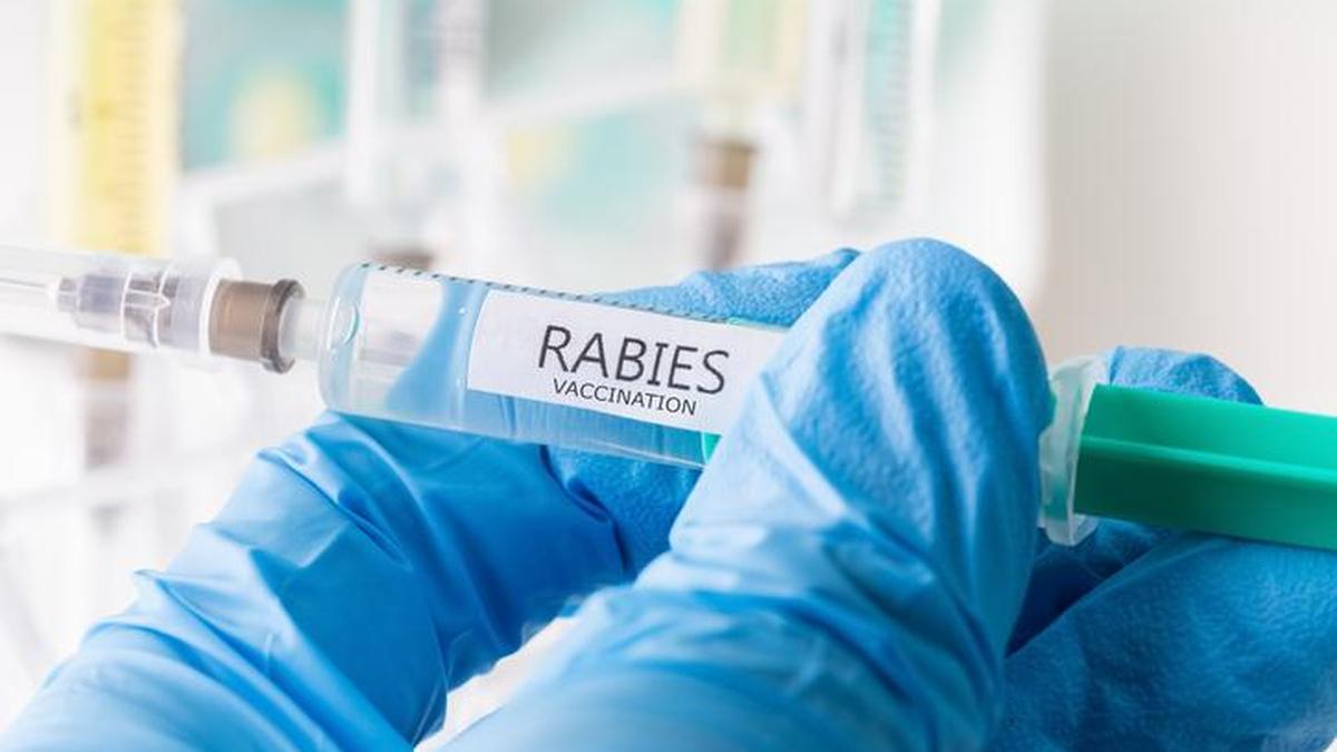 Health Matters Newsletter:  As 2025 ends: Rabies and the cost of neglect
