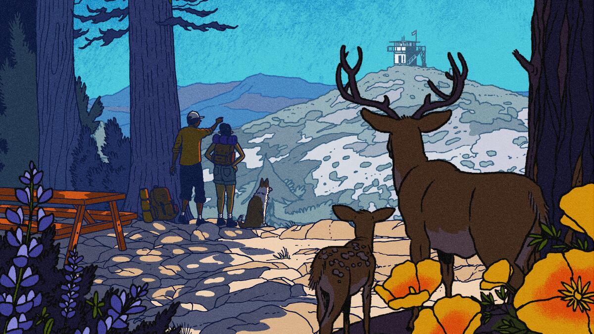 Where to hike, camp and commune with nature in L.A.'s Angeles National Forest