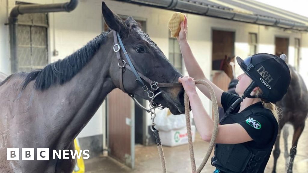 Horse racing workers preparing for busy Christmas
