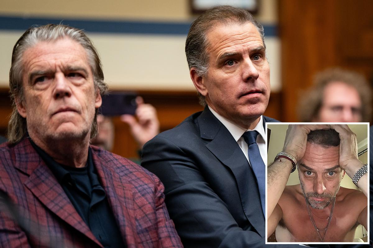 Hunter Biden's 'sugar brother' moves to drop lawsuit against...