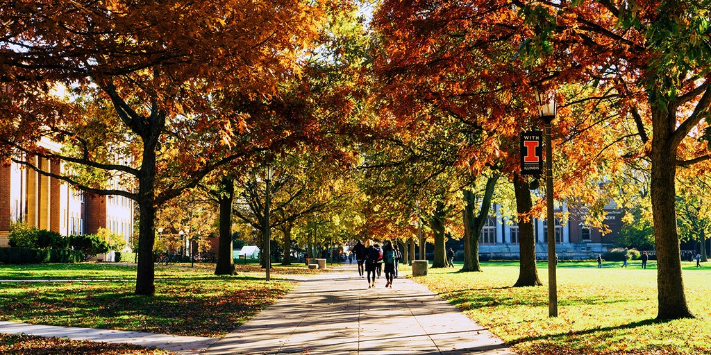 University of Illinois lesson materials push leftist race, class struggles on future teachers: leaked lectures