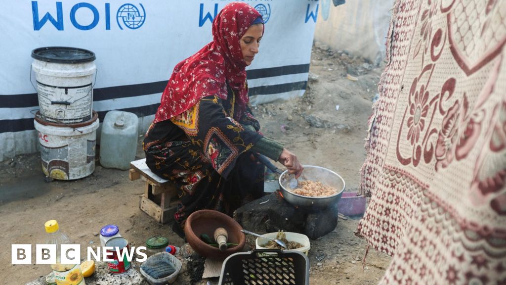 NGOs fear Israel registration rules risk collapse of Gaza aid operations