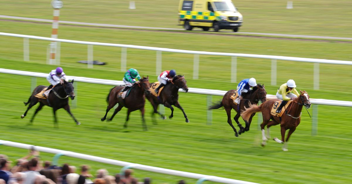 'He looks a fine staying prospect' - Jason Heavey's racing tips - Daily Star