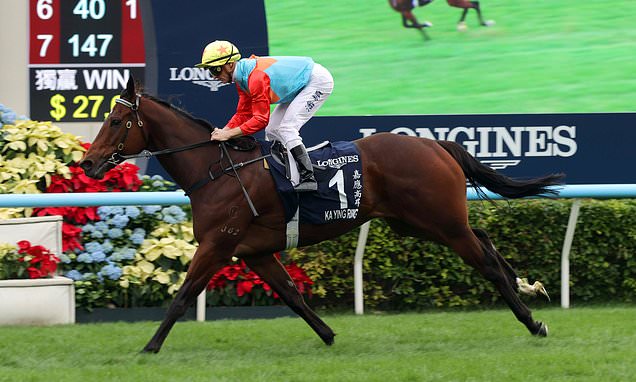 Ka Ying Rising lights up Sha Tin again