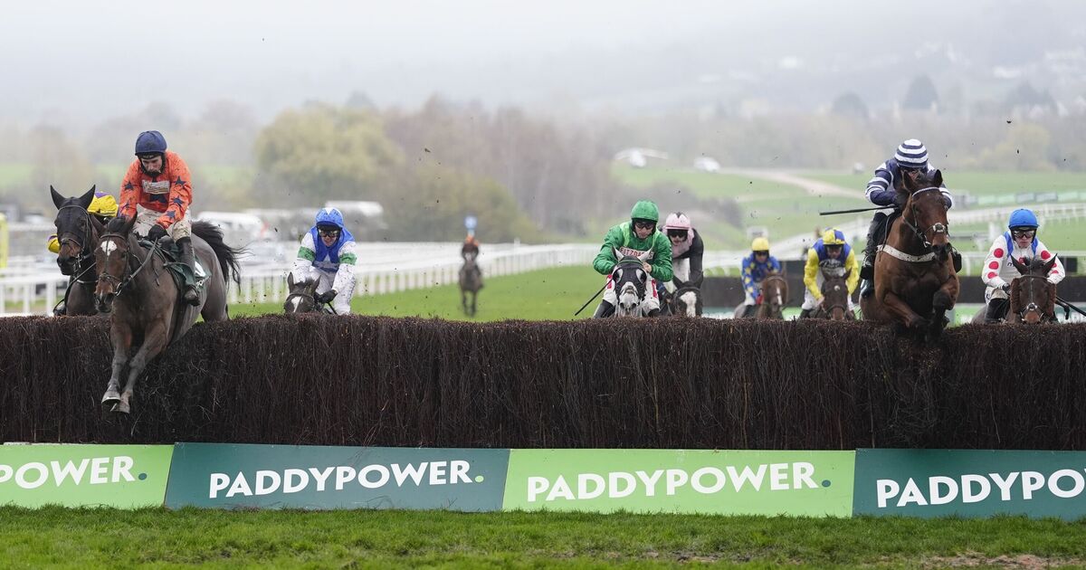 'He ran a race full of promise at Cheltenham' - The Scout's Saturday tips