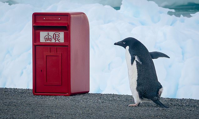 King´s special post box delivery for scientists in the Antarctic