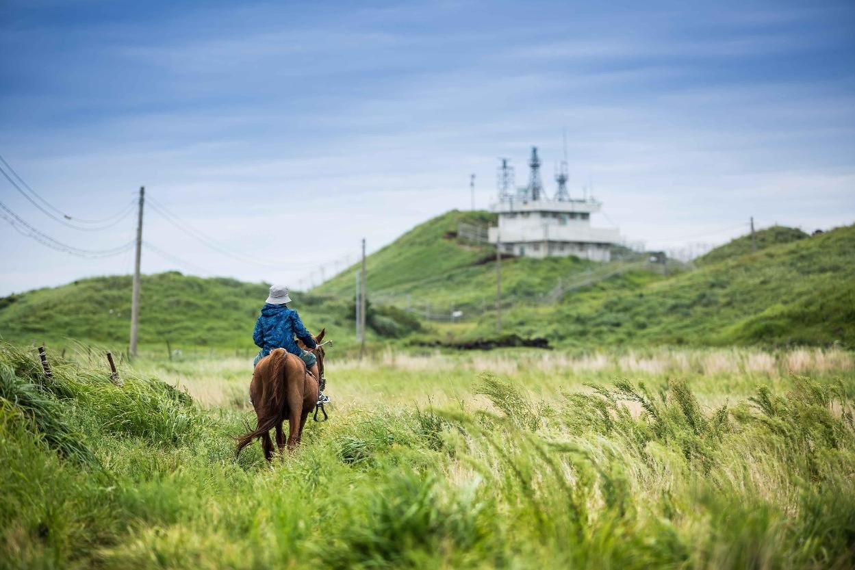 Korea's horse-themed travel spots to celebrate Year of the Red Horse - The Korea Times