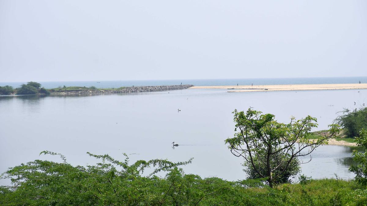 Kovalam fishermen urge government not to issue NOC for proposed reservoir