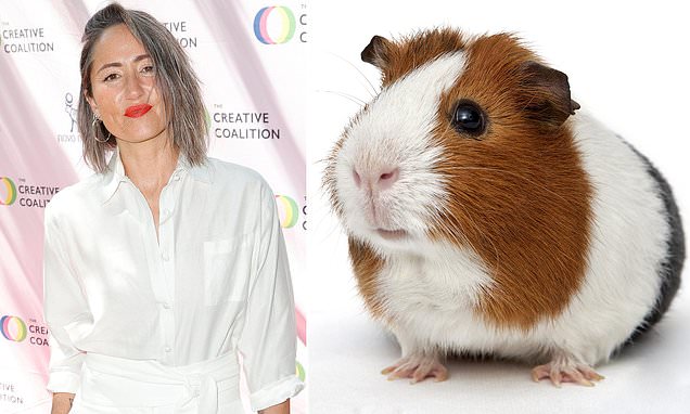 The day veggie rock star KT Tunstall sat down to a... guinea pig dish!