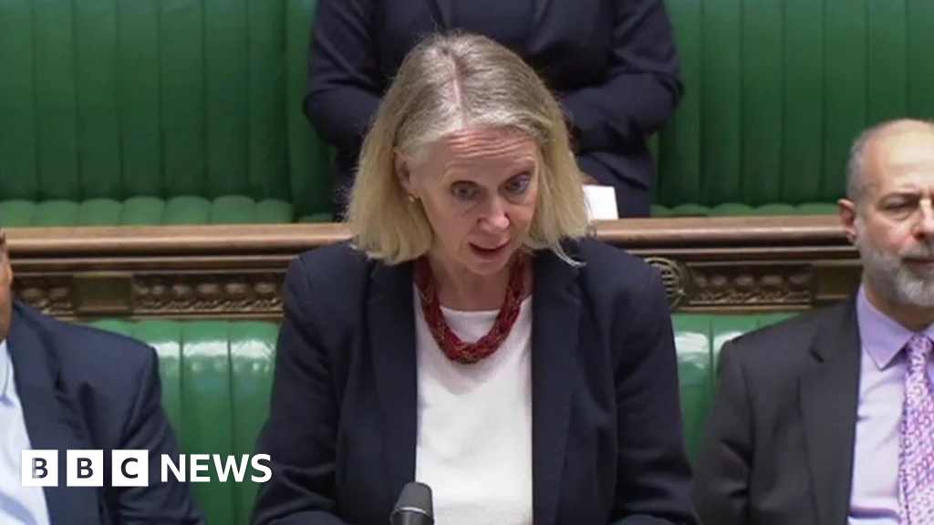 Ex-MP Liz McInnes says Westminster politics 'exhausting'