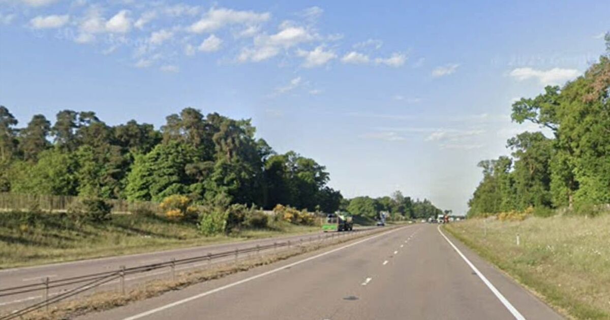 Man 'carrying handgun' shot and killed by police after crash
