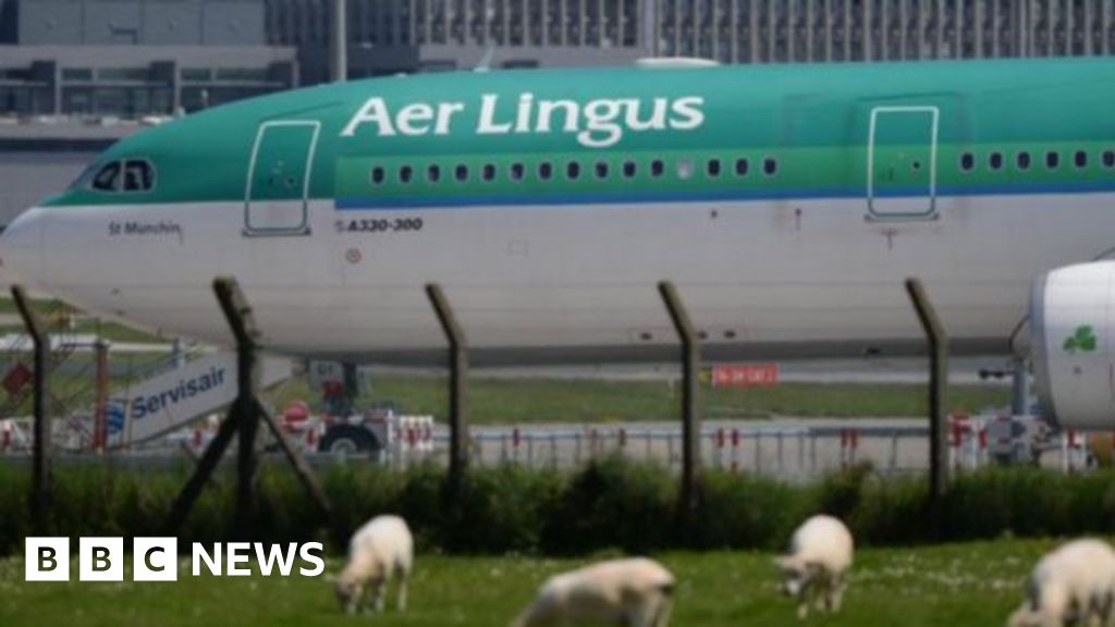 Passengers evacuated from Manchester emergency plane landing