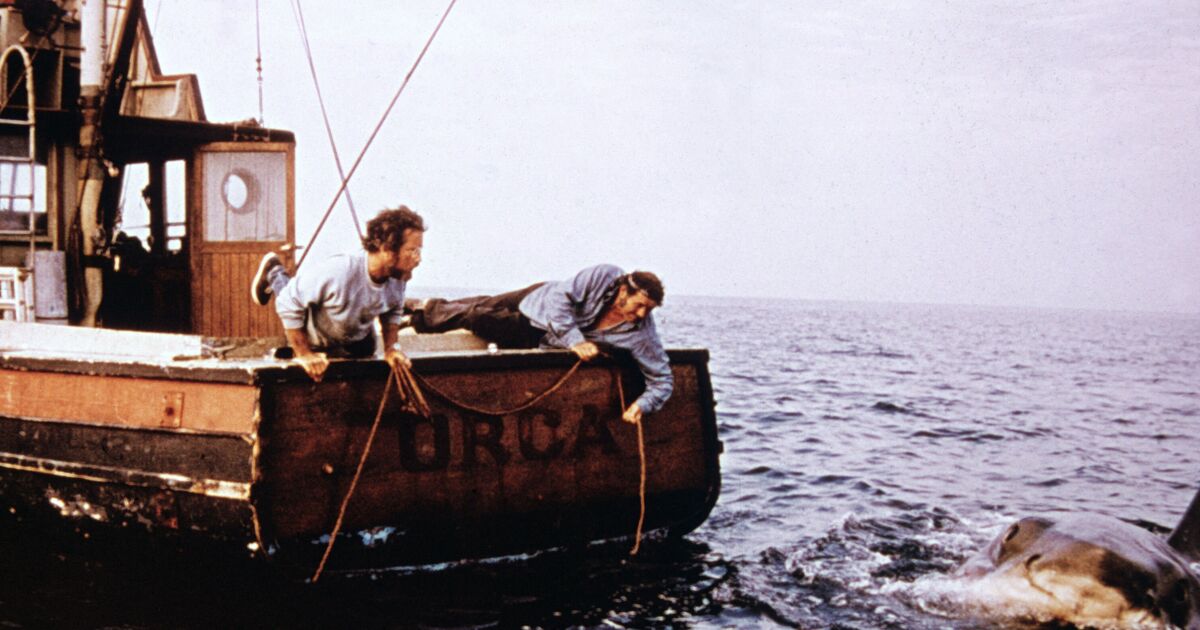 'Masterpiece' thriller that's an 'all-time classic' is leaving Netflix soon