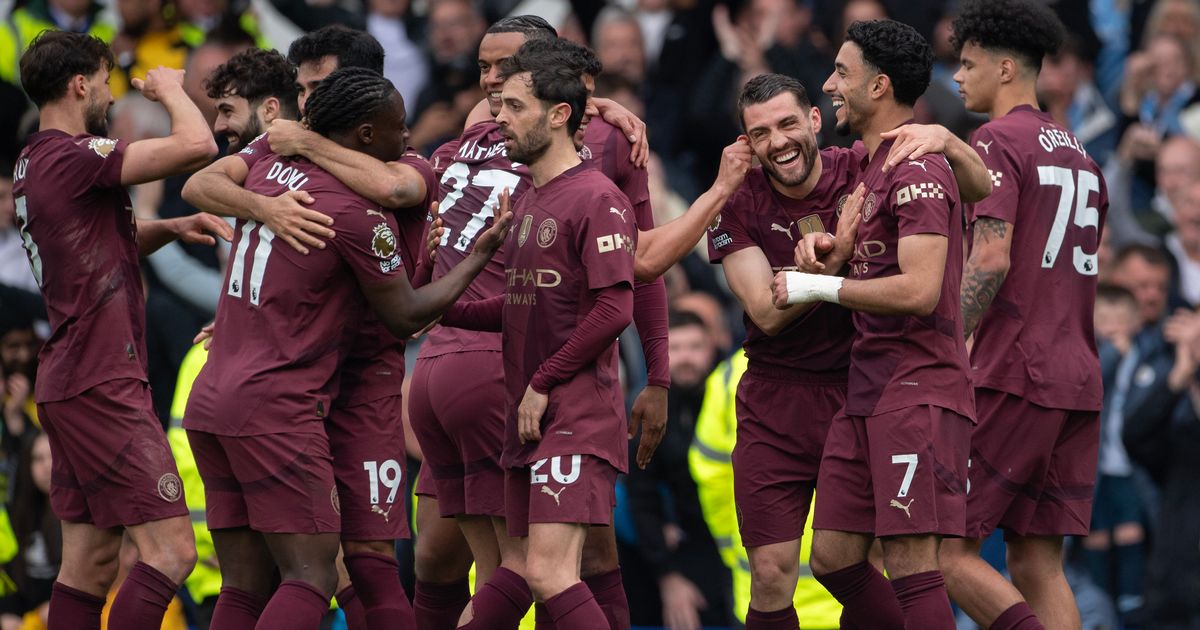 Premier League and Champions League winner looks unrecognisable in new snap as fans stunned - The Mirror