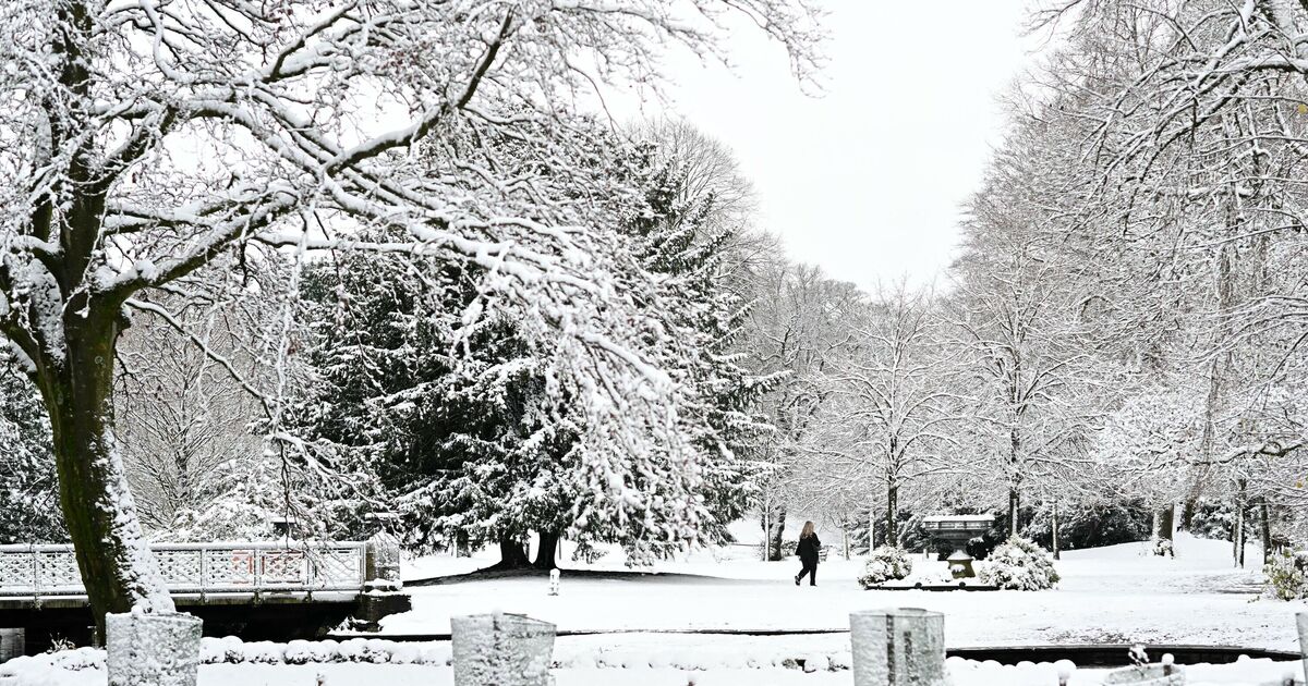 Met Office delivers white Christmas verdict in new UK weather forecast