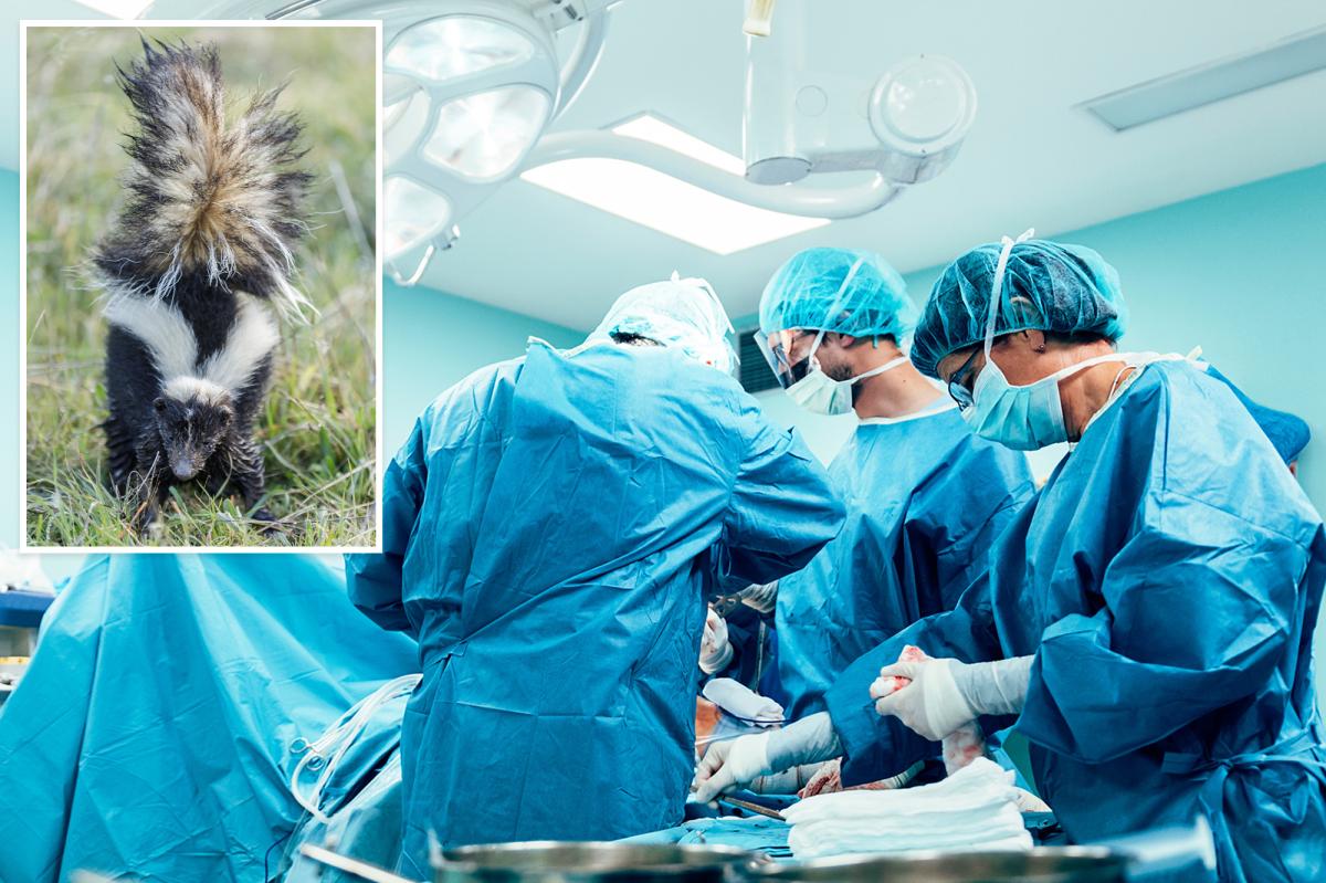Michigan man dies of rabies he contracted from transplant donor...