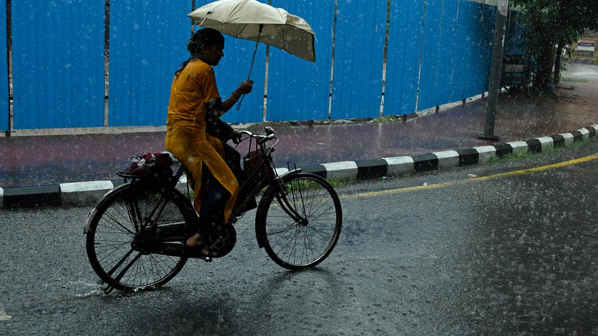 Light to moderate rain likely in parts of T.N. till December 28, says RMC