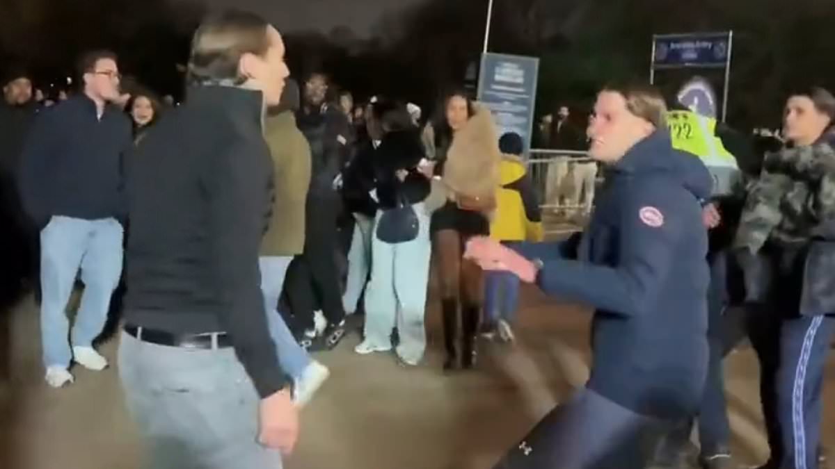 New footage shows punches and women screaming at Winter Wonderland