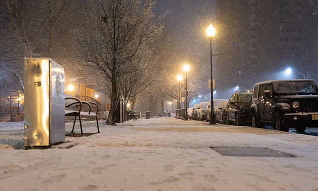 Ground stop issued at New York's major airports due to snowfall