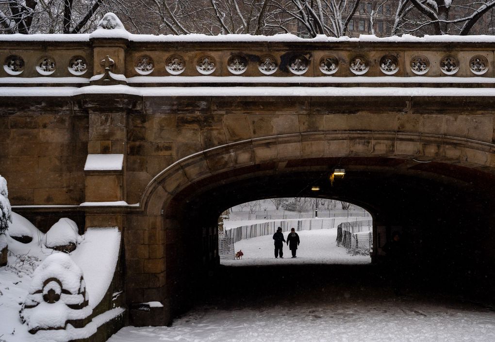 New York receives its heaviest snowfall in nearly 4 years