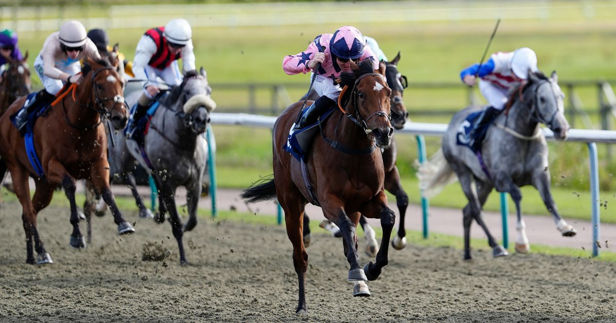 Newsboy's horseracing tips for Wednesday's four meetings, including Lingfield Nap - The Mirror