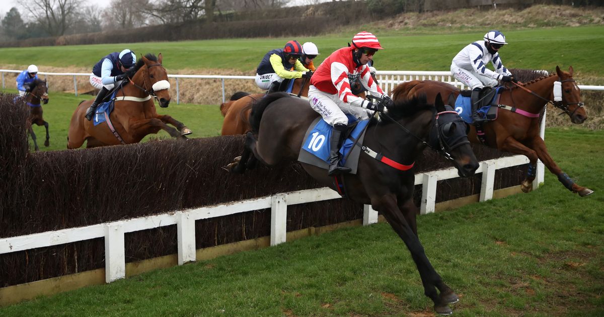 Newsboy's horseracing tips for Thursday's four meetings, including Leicester Nap - The Mirror