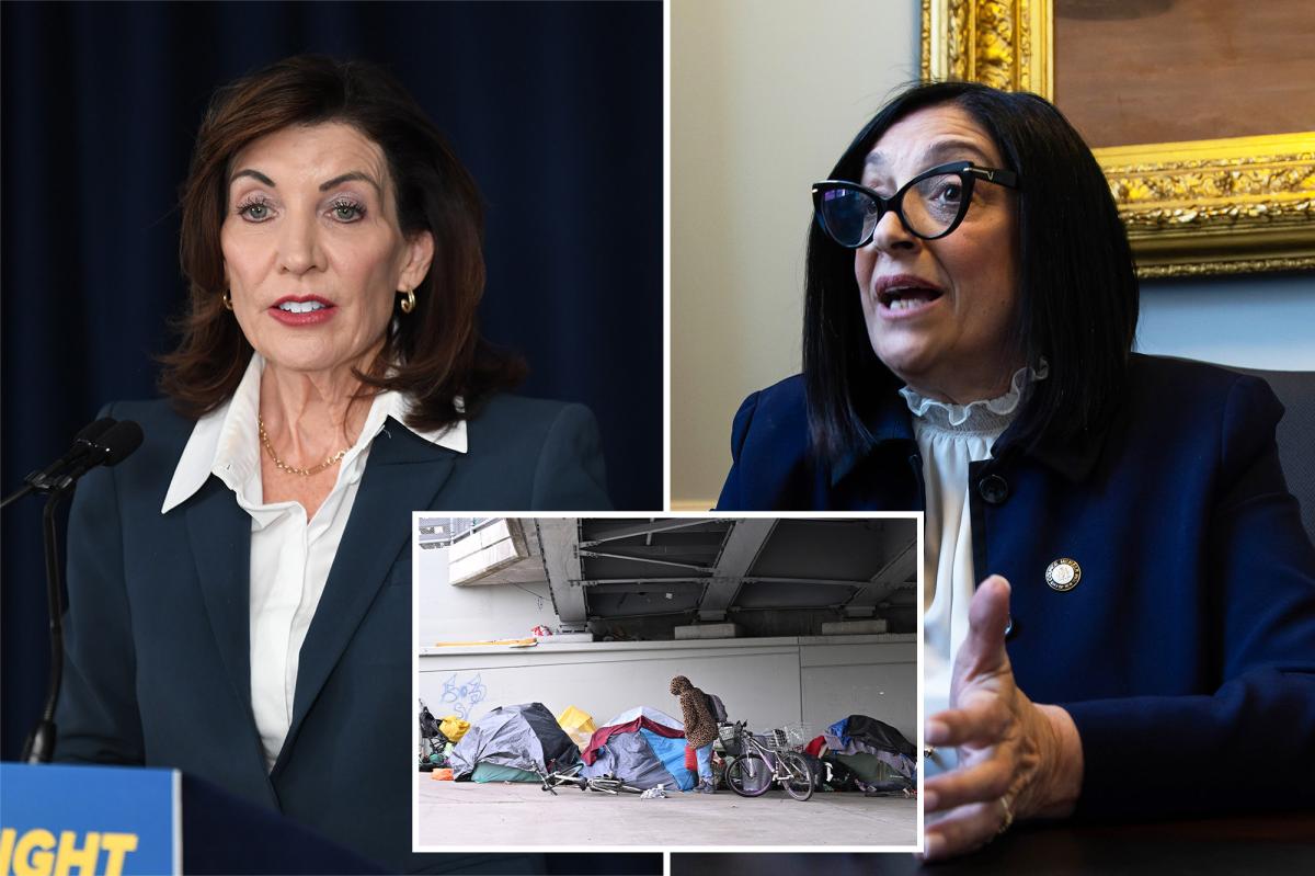 NYC pols beg Gov. Hochul for more psych beds to ease street...
