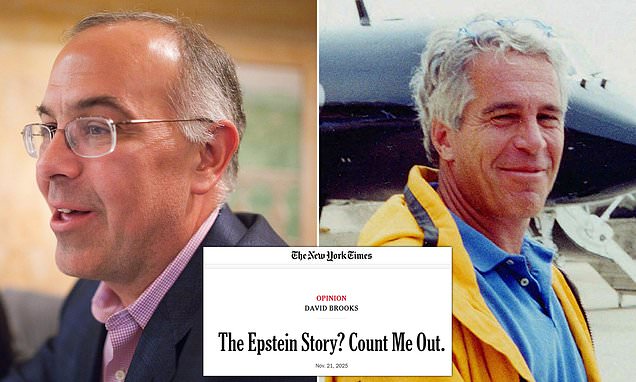 NYT columnist appears in new Epstein files