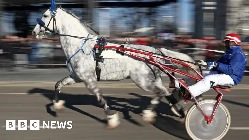 Oxfordshire council approves pony and trap racing prohibition