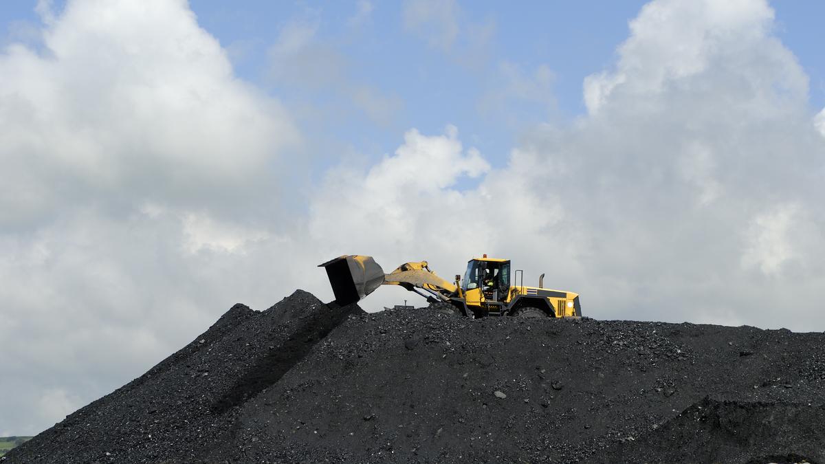 Parliament committee recommends reducing time for forest, environmental clearances for coal projects