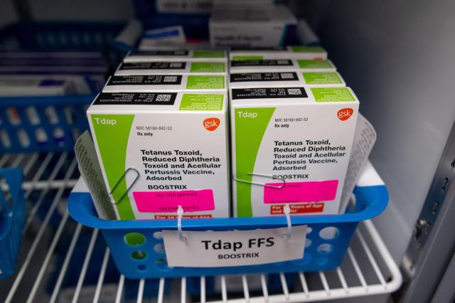 Waning immunity and falling vaccination rates fuel pertussis outbreaks