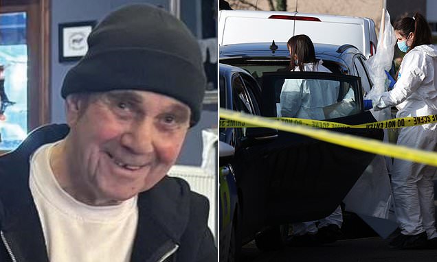 Armed police fired 19 shots to kill dog that fatally attacked OAP