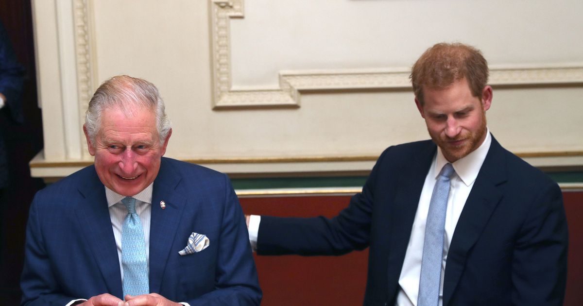 Prince Harry 'review' into armed cops protection could pave way for King Charles reunion - Daily Star
