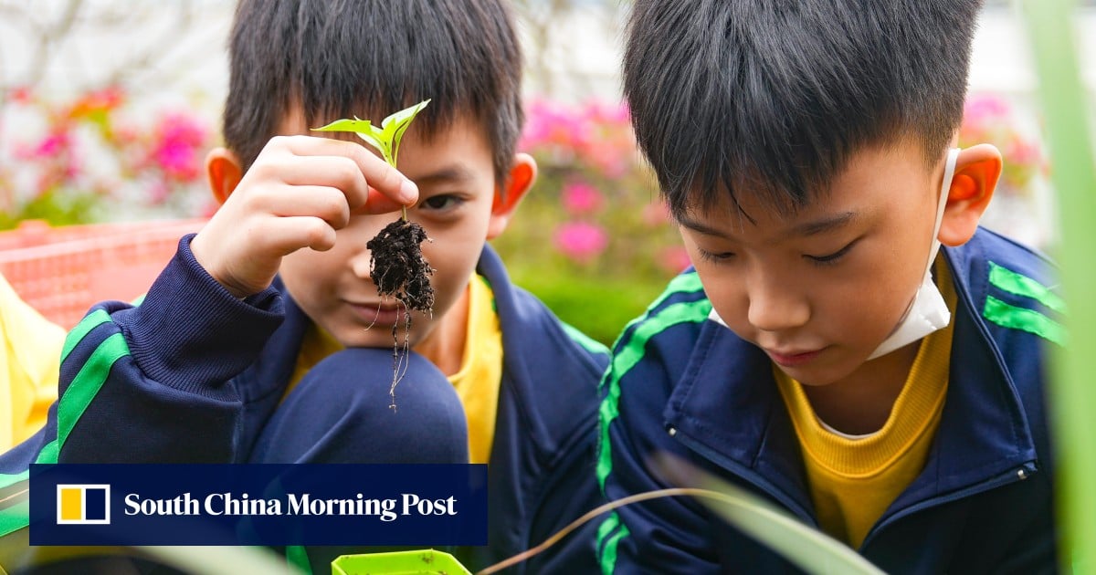 Pupils of school closed after Hong Kong fire inspired by new university homes