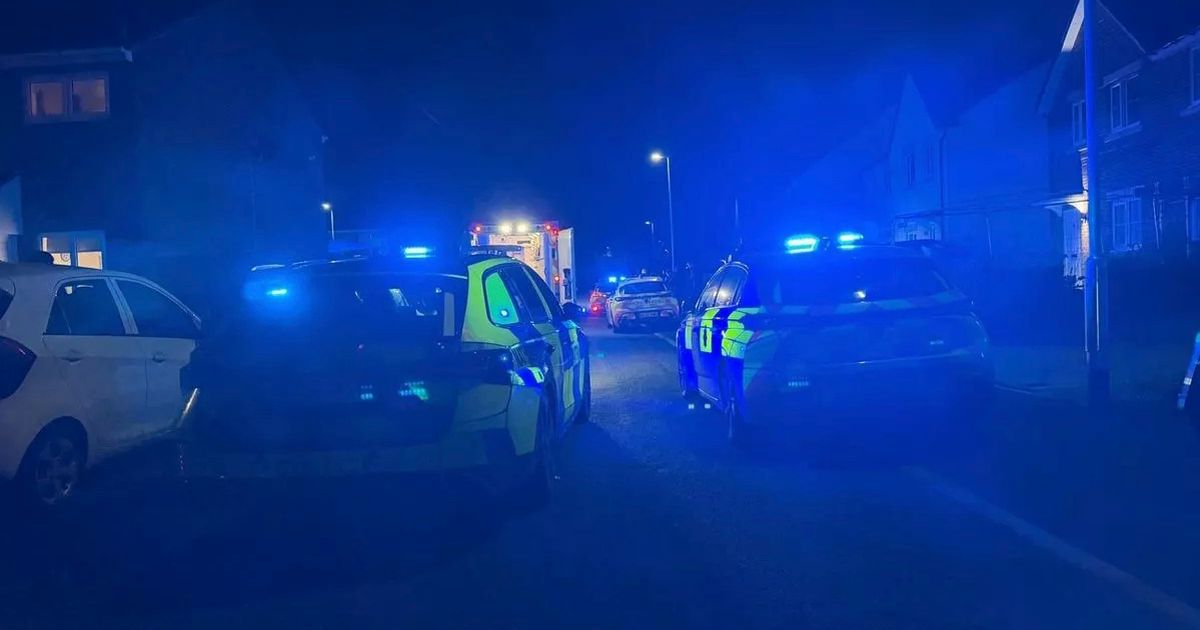 Quiet village descends into chaos as man wrestles with police on Christmas Day - The Mirror
