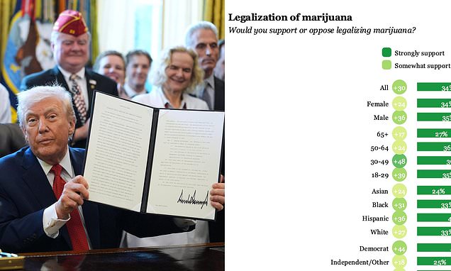 Republicans support legalizing weed as Trump allies warn 'brain drain'