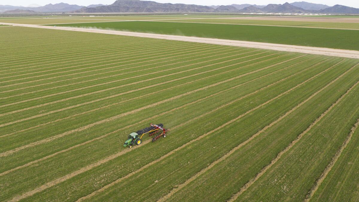 Where a Saudi company pumps desert groundwater, Arizona considers imposing limits