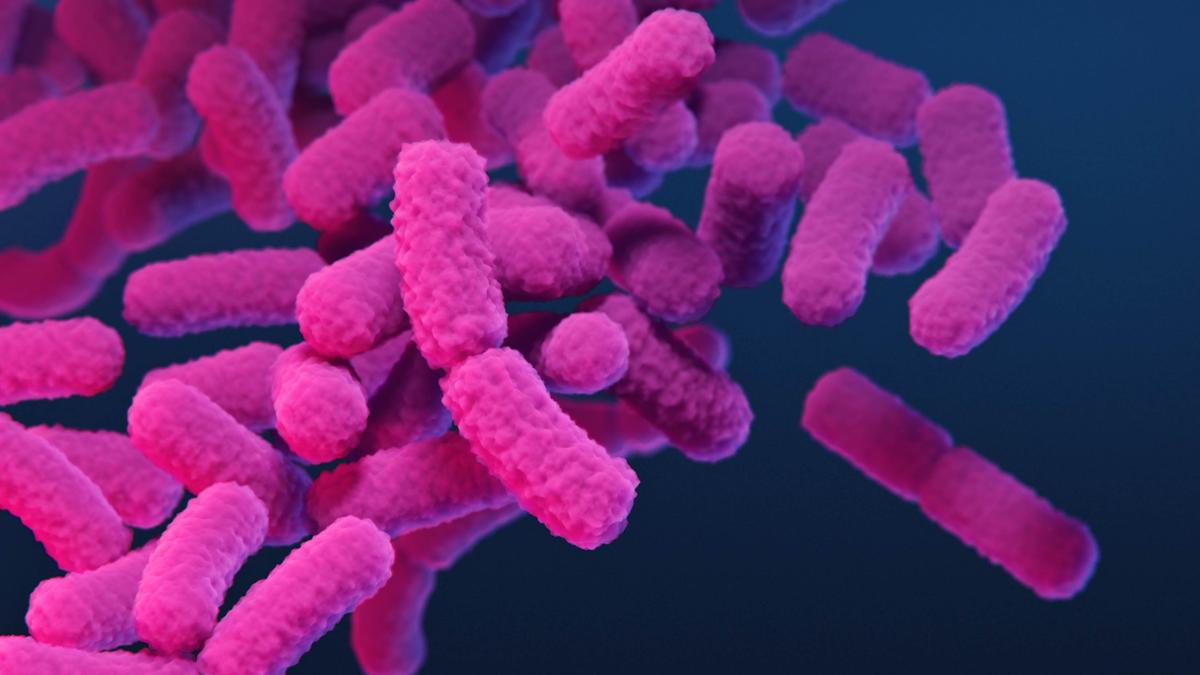 Science quiz: Fighting back against diseases