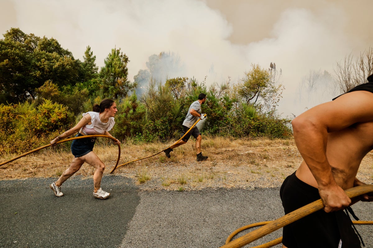 Warning as scientists find this year was one of the three hottest on record