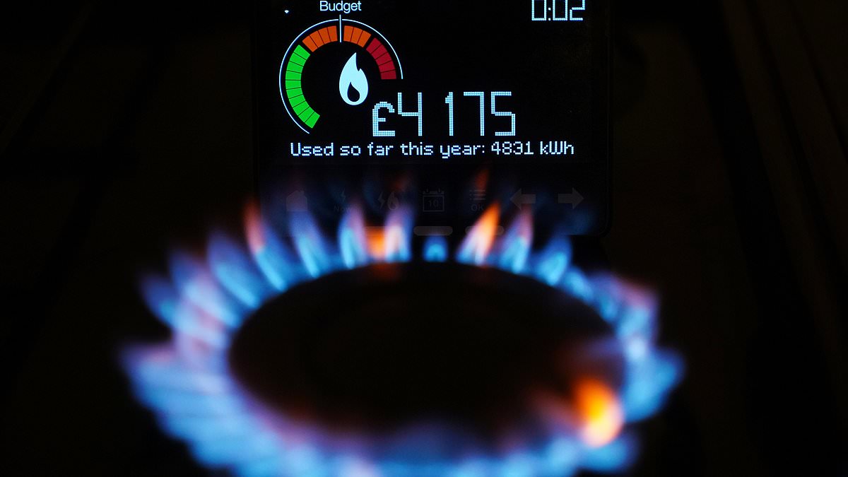 New smart meter reprieve for thousands of homes