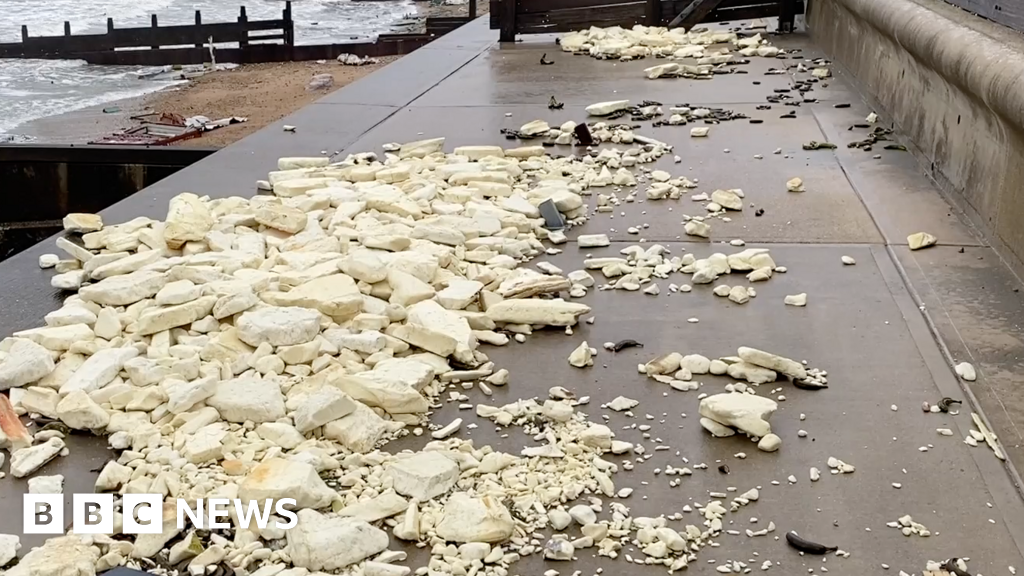 Coastal 'carnage' from Solent banana container debris