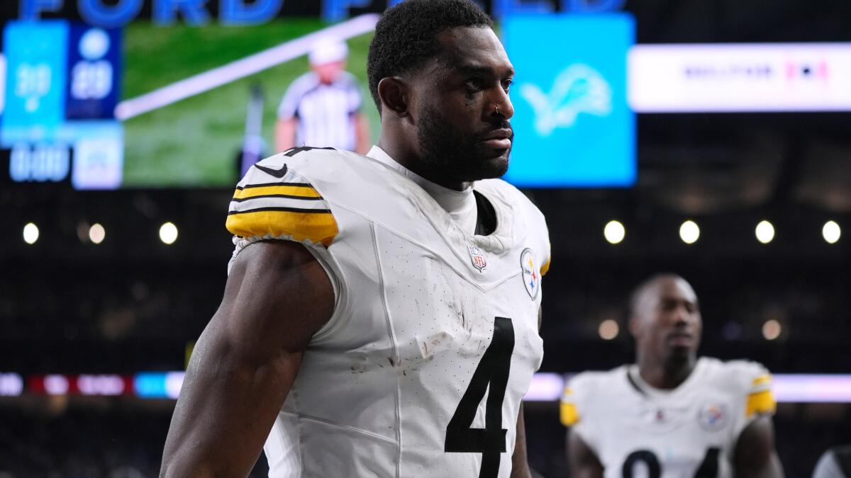 Steelers star DJ Metcalf wigs out, swings at fan who called him by his given name