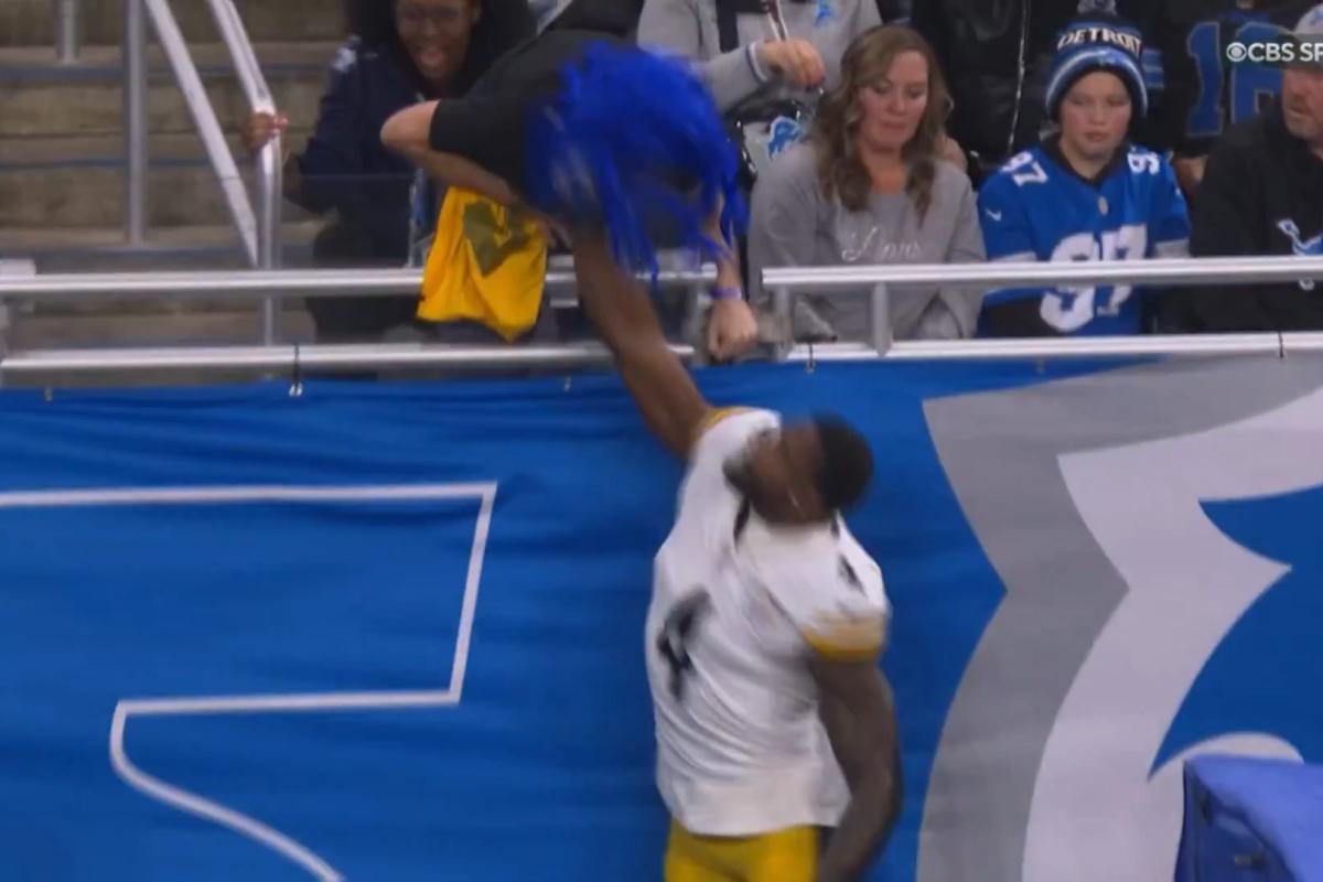 Steelers' DK Metcalf appears to strike Lions fan in stands during...
