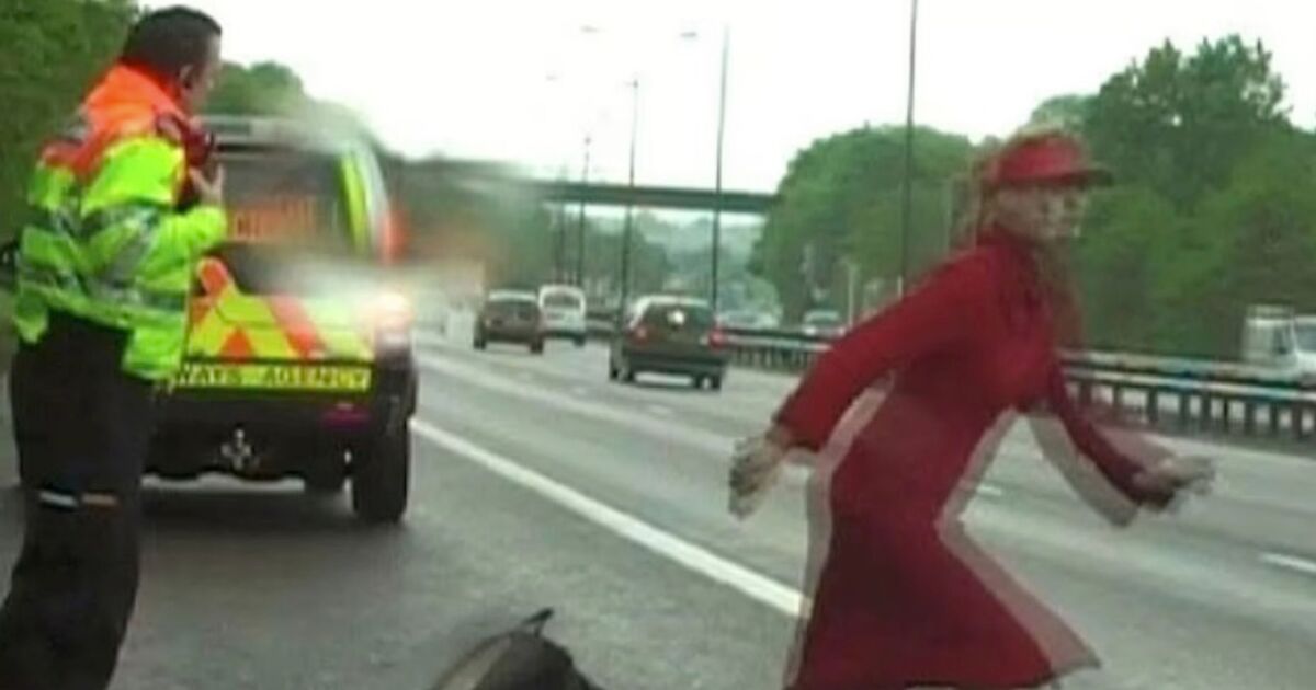 Suicide pact twins with 'superhuman strength' ran into M6 before killing man