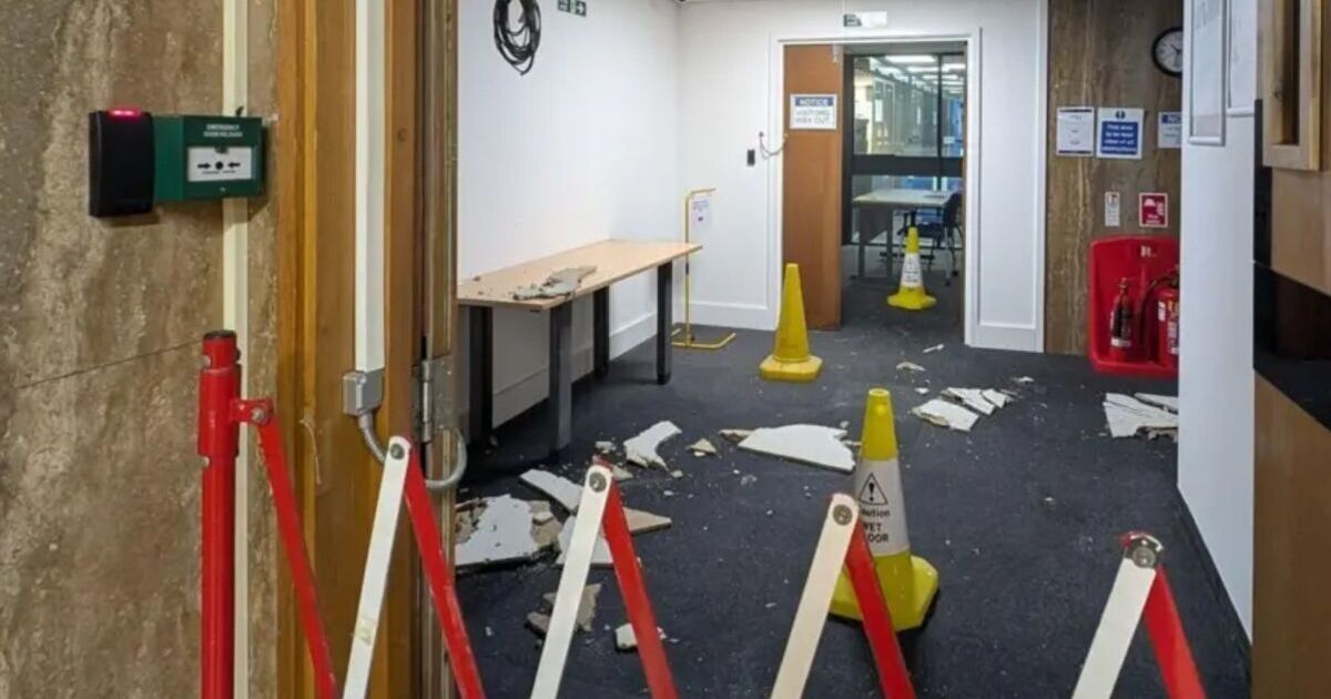 Chaos at asylum seeker debate as councillors 'pelted with eggs'