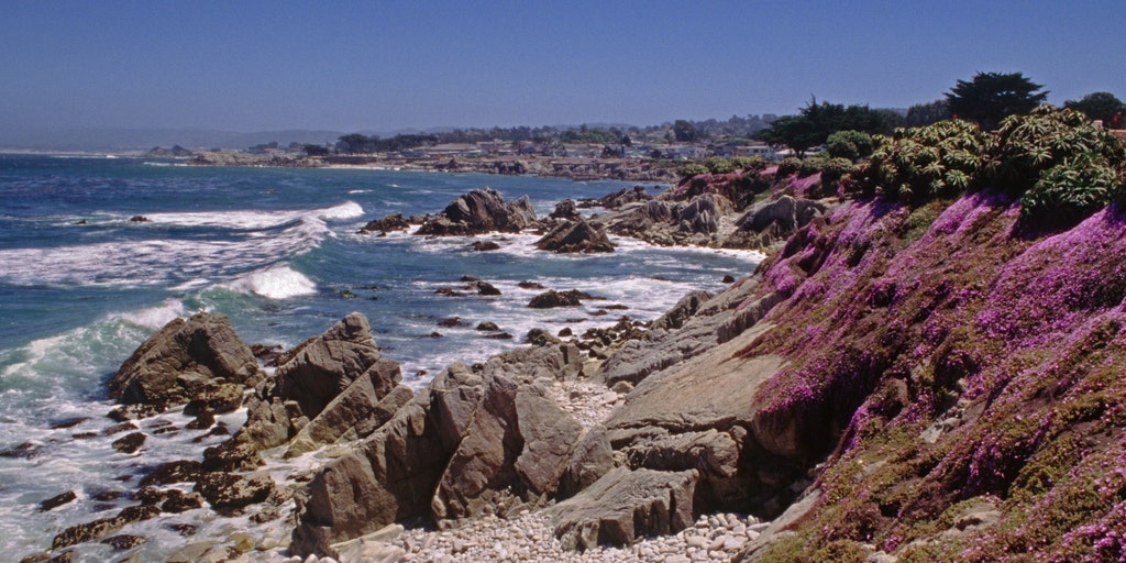 Swimmer vanishes after possible shark encounter off California coast during group outing