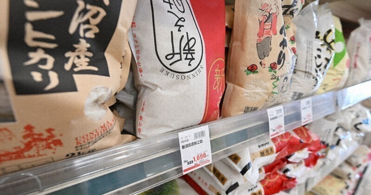 Backlash grows over PM Takaichi's rice voucher plan for inflation relief