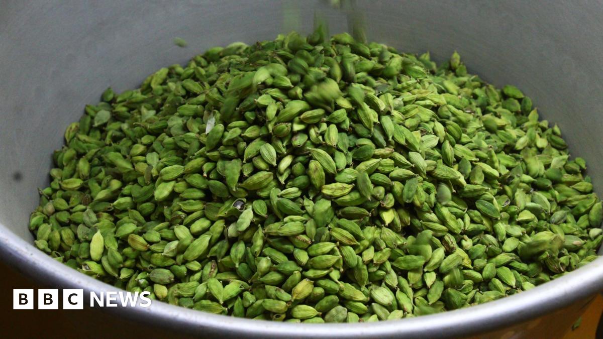The 'toughest crop': Can tech help cardamom farmers?