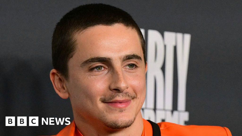 Timothée Chalamet teams up with EsDeeKid to quash alter-ego rumours